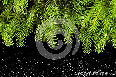 Weihnachten, baum, hintergrund, winter, neues jahr Stock Photo