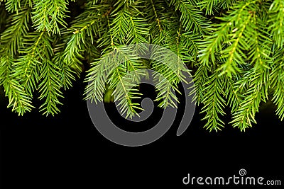 Weihnachten, baum, hintergrund, winter, neues jahr Stock Photo