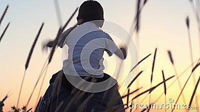 Weinig jongenszitting op schouders van zijn papa en het spelen opgeheven handen bij zonsondergang op gebied van tarwe Papa en kin stock footage Weinig jongenszitting op schouders van zijn papa en het spelen opgeheven handen bij zonsondergang op gebied van tarwe Papa en kin stock footage