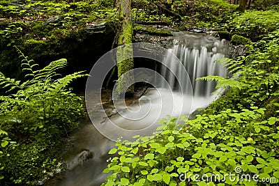 Weir on the stream Stock Photo