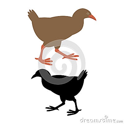 Weka bird vector illustration flat style silhouette Vector Illustration