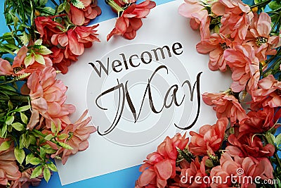 Welcome May text with Pink Flower frame on blue background Stock Photo