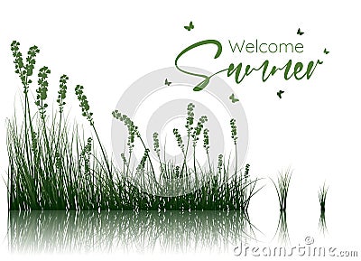 Welcome Summer Banner Vector Illustration