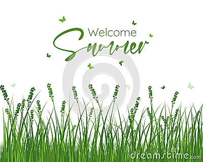 Welcome Summer Banner Vector Illustration