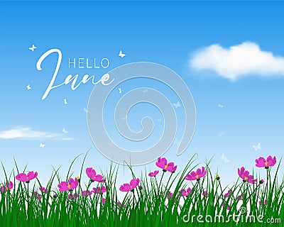 Welcome Summer Banner Vector Illustration