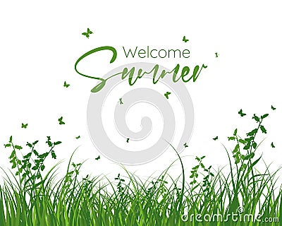 Welcome Summer Banner Vector Illustration