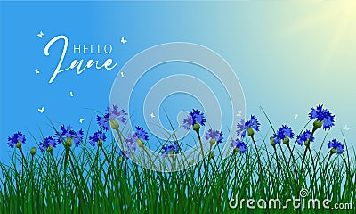 Welcome Summer Banner Vector Illustration