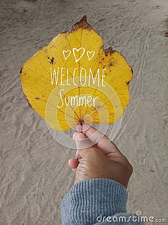 Welcome summer text on an autumn leaf in yellow color. A young woman hand holds the leaf, white sands background. Human body part Stock Photo