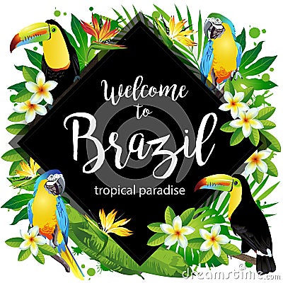 Welcome to Brazil! Vector illustration of tropical birds. Vector Illustration