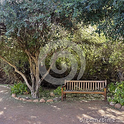 Welcoming Garden Bench Stock Photo