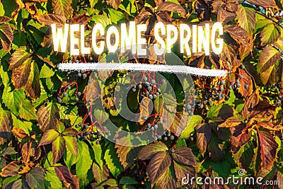 Welcoming text Welcome Spring overlays a lush backdrop of fresh, green leaves, symbolizing the energetic reawakening of Stock Photo