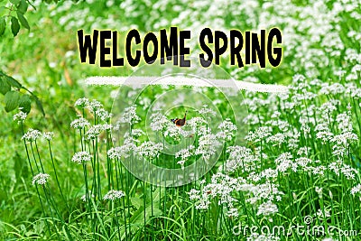 Welcoming text Welcome Spring overlays a lush backdrop of fresh, green leaves, symbolizing the energetic reawakening of Stock Photo