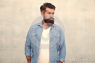 Well groomed macho. Brutal handsome hipster man on grey wall background. Bearded man trendy hipster style. Masculinity Stock Photo