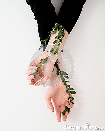 Well groomed woman`s hands with green leaves on the table. Cosmetics for hands anti wrinkle. Natural beauty, tenderness and skin Stock Photo