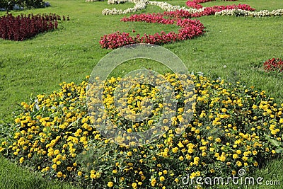 well-kept flower gardens very well looked after by the gardener with various flowers blooming Stock Photo