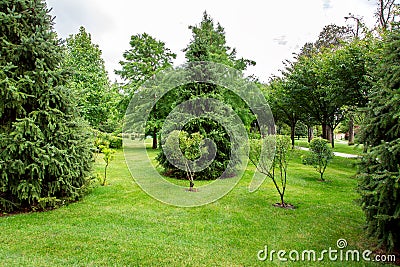 Well maintained garden with a green lawn and small bushes. Stock Photo