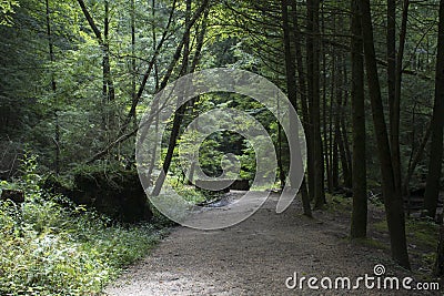 Well maintained hiking trail Stock Photo