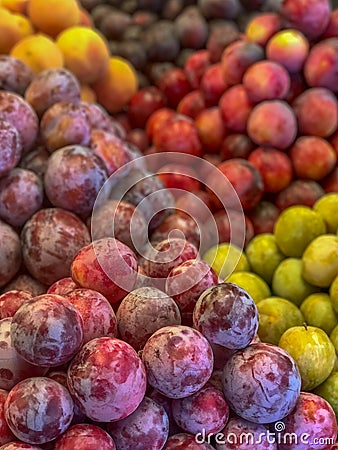 Well Picked Plums in Display Stock Photo