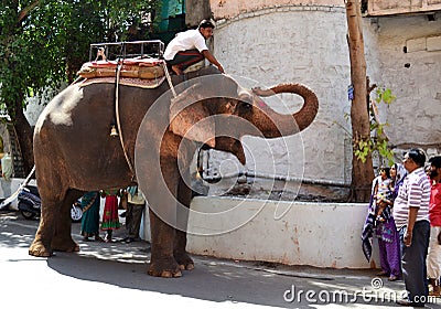 Well trained elephant amusing people in the streets of Ujjain India Editorial Stock Photo