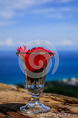 wellcome drink : Cold water and red flower in clear glass on blue sky background Stock Photo
