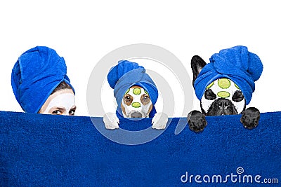 Wellness beauty mask girl and dogs Stock Photo