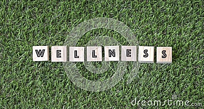 Wellness concept, words on wood cube Stock Photo
