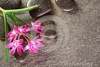 Wellness with hot stones, place for text Stock Photo