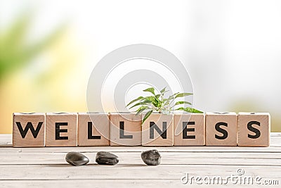 Wellness sign with wooden cubes Stock Photo