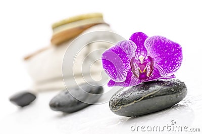 Wellness still life Stock Photo