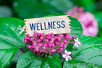 Wellness in wooden card Stock Photo