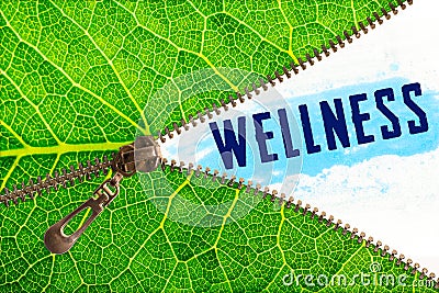 Wellness word under zipper leaf Stock Photo