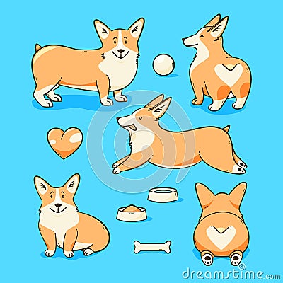 Welsh corgi dog Vector Illustration