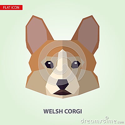 Welsh corgi head vector illustration. Vector Illustration