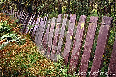 Welsh slate fence boundary, Snowdonia Stock Photo