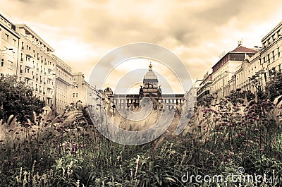 Wenceslas square in the summer, Prague Stock Photo
