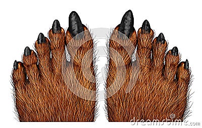 Werewolf Feet Stock Photo