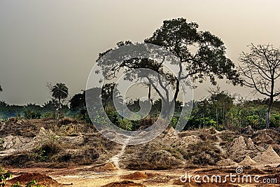 view early morning and morning fog Stock Photo