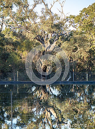 West Australian Lined Dam Stock Photo