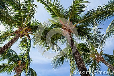 Infinity Bay Beach Resort at West Bay beach, Roatan Island, in Honduras Editorial Stock Photo