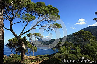 West coast of mallorca Stock Photo