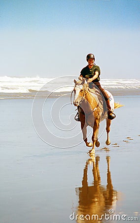 Horse on surf beach Editorial Stock Photo