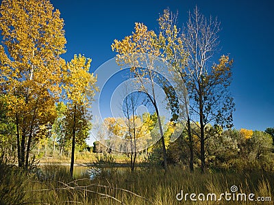 West of the Divide in October Stock Photo