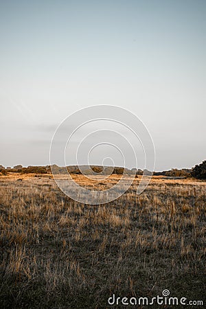 The West dunes of Ouddorp, The Netherlands Stock Photo