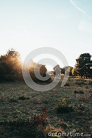 The West dunes of Ouddorp, The Netherlands Stock Photo