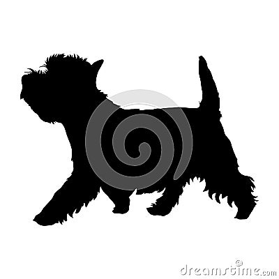 West Highland White Terrier Vector Illustration