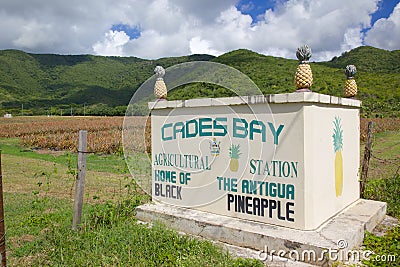 West Indies, Caribbean, Antigua, St Mary, Cades Bay, Antigua Black Pineapple Sign Stock Photo