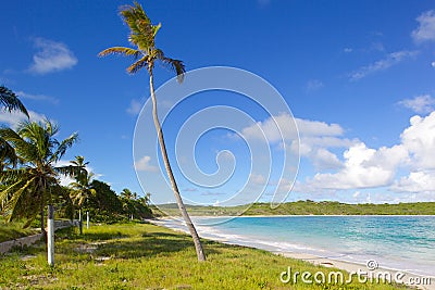 West Indies, Caribbean, Antigua, St Philip, Half Moon Bay Stock Photo