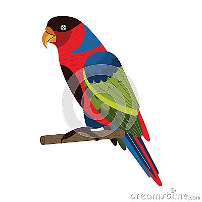 Western Black Capped Lory Parrot in Flat Vector Illustration