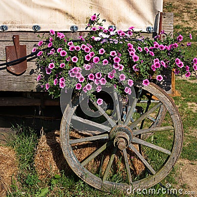 Western covered wagon Stock Photo