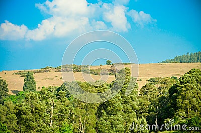 Western Ghat Stock Photo